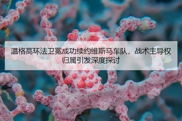 wen-ge-gao-huan-fa-wei-mian-cheng-gong-xu-yue-wei-si-ma-che-dui-zhan-shu-zhu-dao-quan-gui-shu-yin-fa-shen-du-tan-tao-3-728.jpg