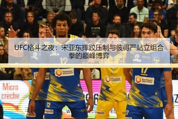 UFC格斗之夜：宋亚东摔跤压制与彼得严站立组合拳的巅峰博弈
