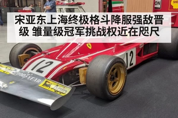 宋亚东上海终极格斗降服强敌晋级 雏量级冠军挑战权近在咫尺